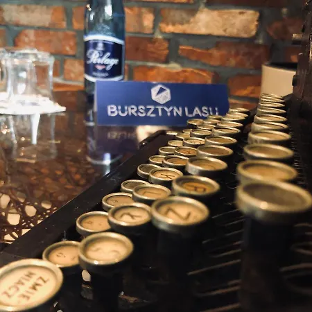 Apartmán Bursztyn Lasu *