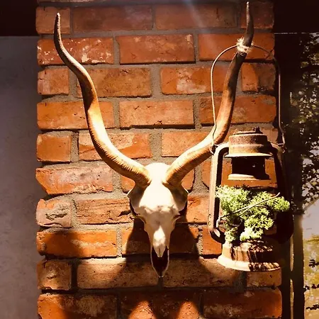 Bursztyn Lasu Apartmán